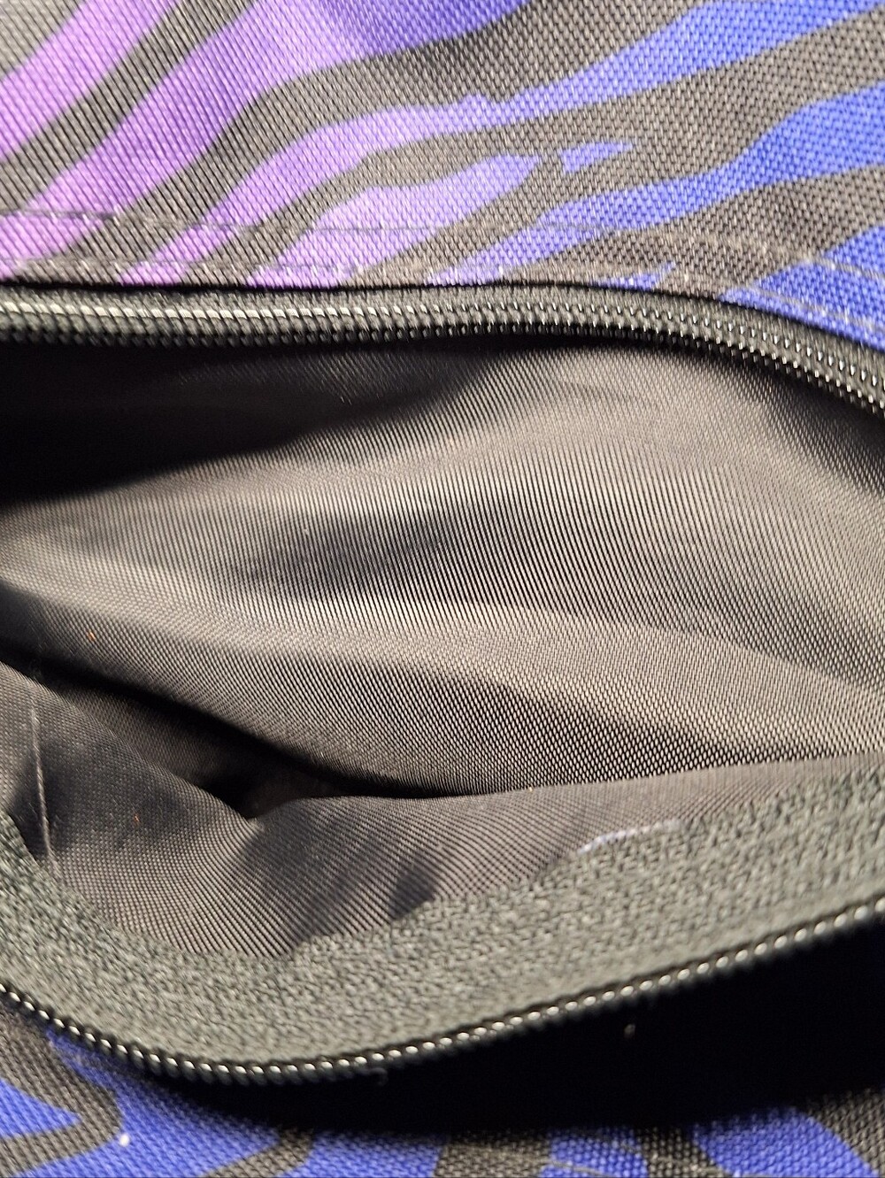 Jansport Backpack, Zebra Stripes, Blue Purple Black - Picture 11 of 13